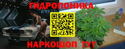 эйфоретик Бузулук