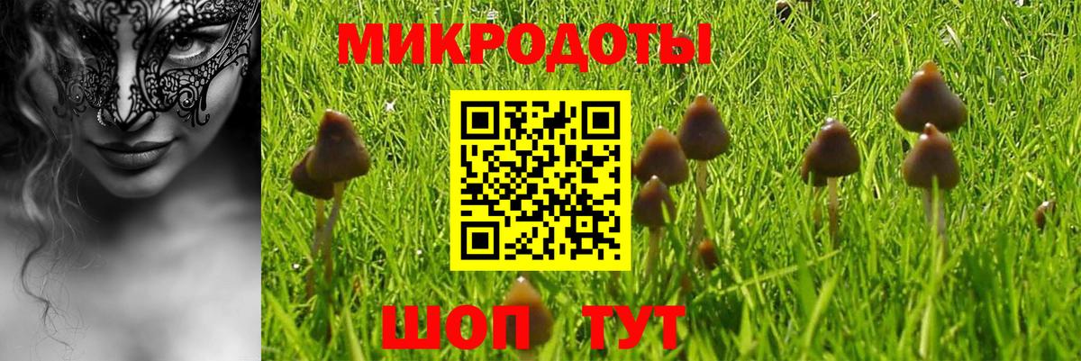Галлюциногенные грибы ЛСД Лесозаводск